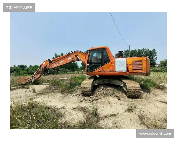 不识货!男子租拖车盗挖机 价值27万元贱卖12万 不识货!男子租拖车盗挖机 价值27万元贱卖12万