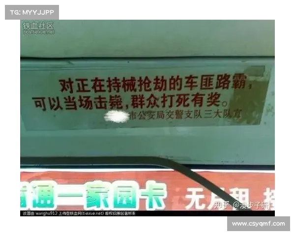 中国车匪路霸消亡史 中国车匪路霸消亡史