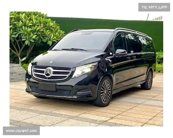 体验新款奔驰V260L,定价47.8万起,轴距3479MM 体验新款奔驰V260L,定价47.8万起,轴距3479MM